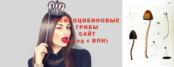 а пвп мука Богородск