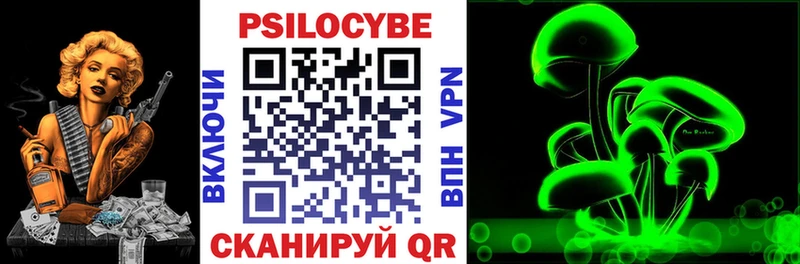 Псилоцибиновые грибы Cubensis  Челябинск 